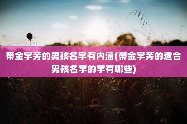 带金字旁的男孩名字有内涵(带金字旁的适合男孩名字的字有哪些)