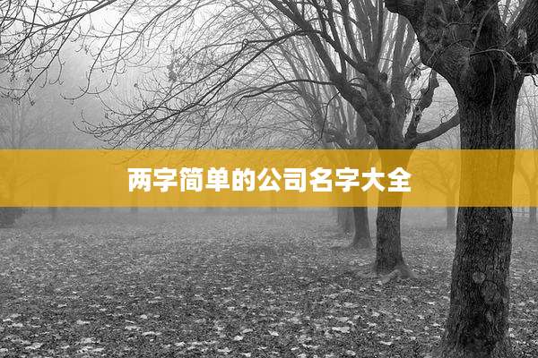 两字简单的公司名字大全