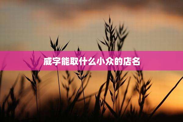 威字能取什么小众的店名