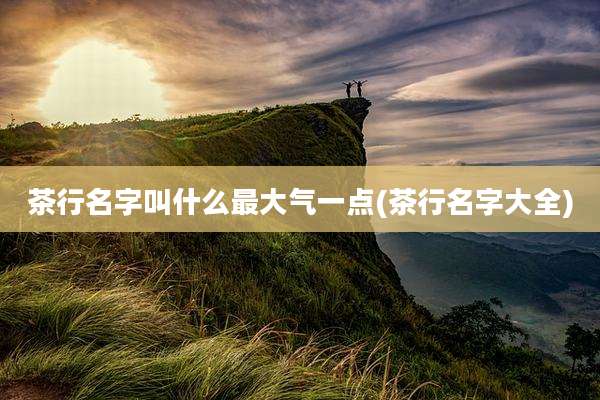 茶行名字叫什么最大气一点(茶行名字大全)