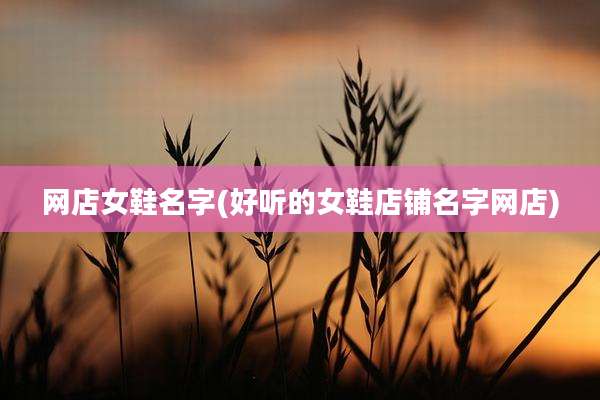 网店女鞋名字(好听的女鞋店铺名字网店)
