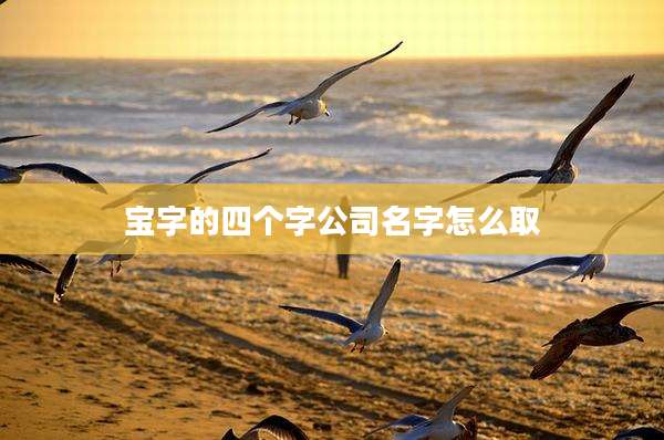 宝字的四个字公司名字怎么取