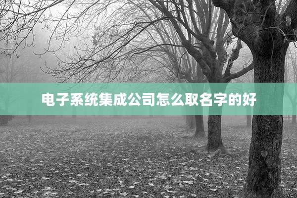 电子系统集成公司怎么取名字的好