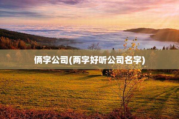 俩字公司(两字好听公司名字)