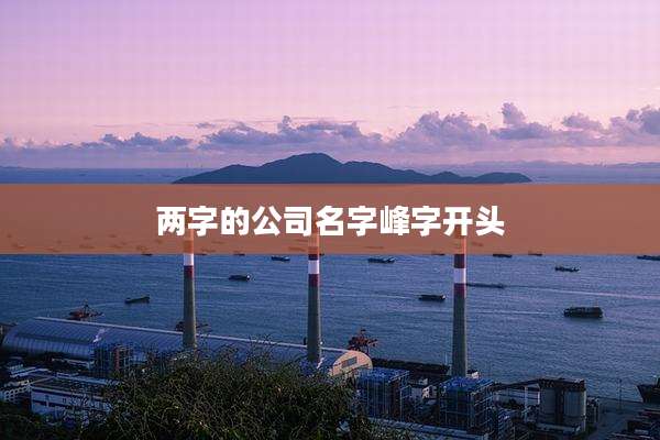 两字的公司名字峰字开头