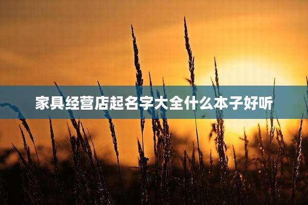 家具经营店起名字大全什么本子好听