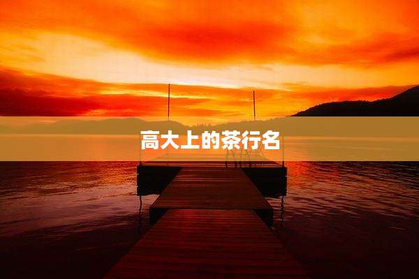 高大上的茶行名