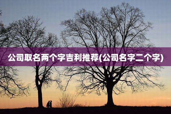 公司取名两个字吉利推荐(公司名字二个字)