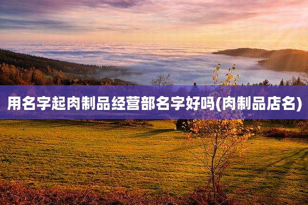 用名字起肉制品经营部名字好吗(肉制品店名)