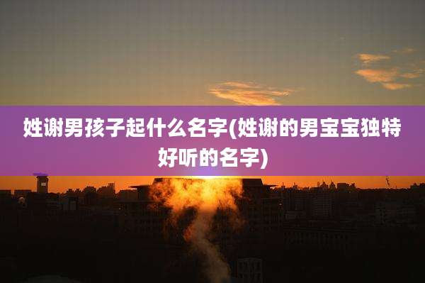 姓谢男孩子起什么名字(姓谢的男宝宝独特好听的名字)
