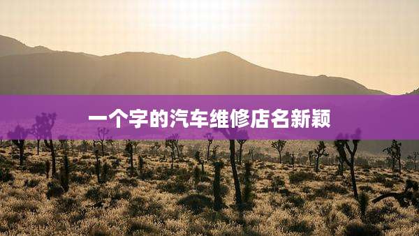 一个字的汽车维修店名新颖