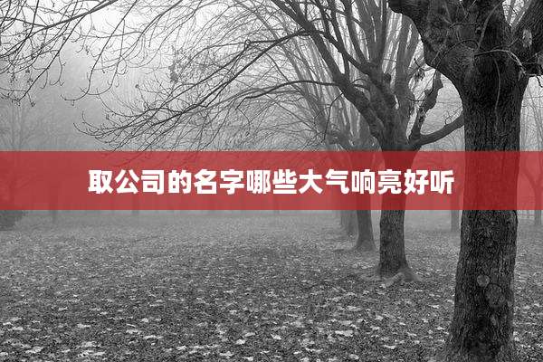 取公司的名字哪些大气响亮好听