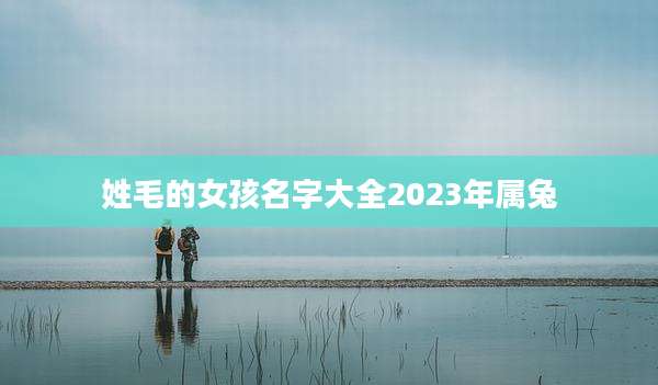 姓毛的女孩名字大全2023年属兔