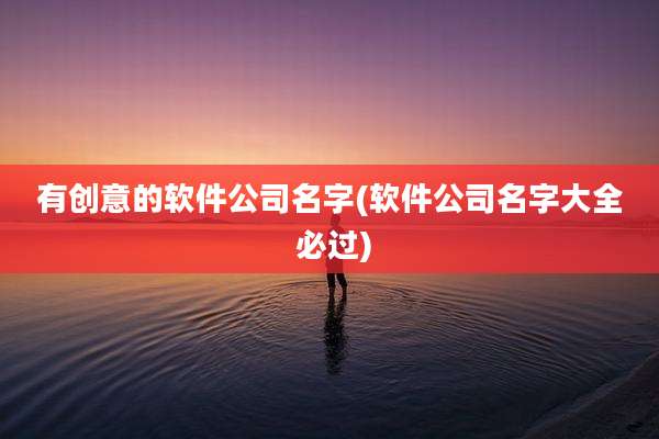 有创意的软件公司名字(软件公司名字大全 必过)