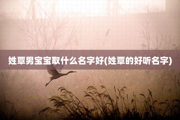 姓覃男宝宝取什么名字好(姓覃的好听名字)