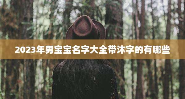 2023年男宝宝名字大全带沐字的有哪些