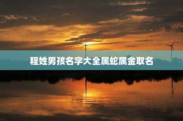 程姓男孩名字大全属蛇属金取名