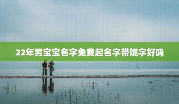 22年男宝宝名字免费起名字带妮字好吗