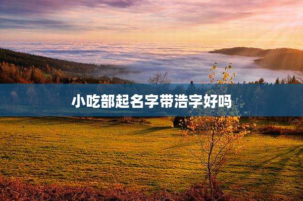 小吃部起名字带浩字好吗