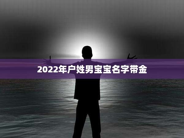 2022年户姓男宝宝名字带金