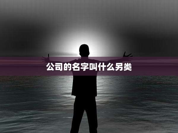 公司的名字叫什么另类