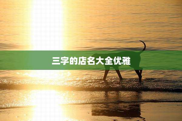 三字的店名大全优雅