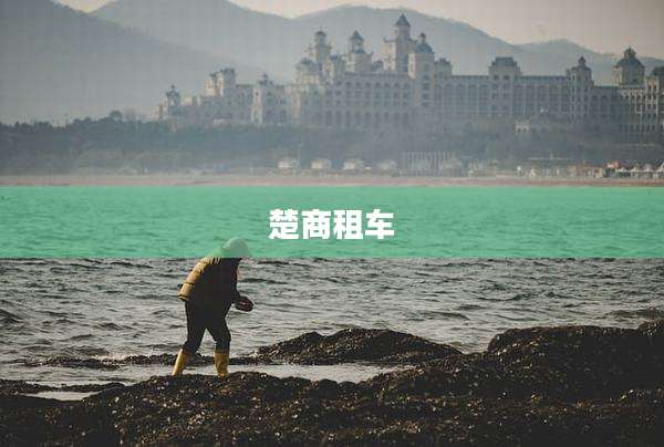 楚商租车