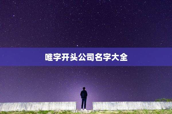 唯字开头公司名字大全