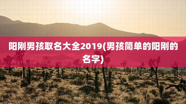 阳刚男孩取名大全2019(男孩简单的阳刚的名字)