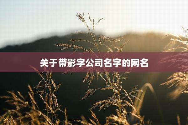 关于带影字公司名字的网名