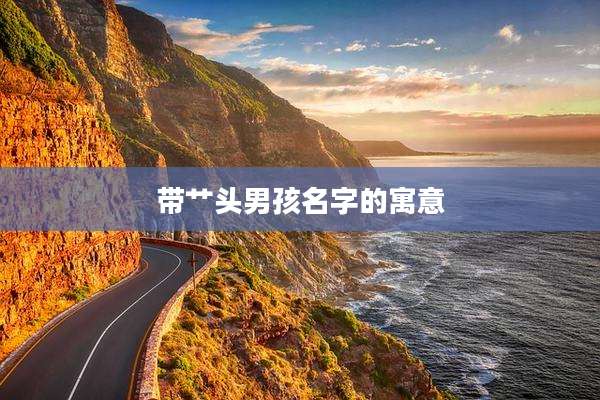 带艹头男孩名字的寓意