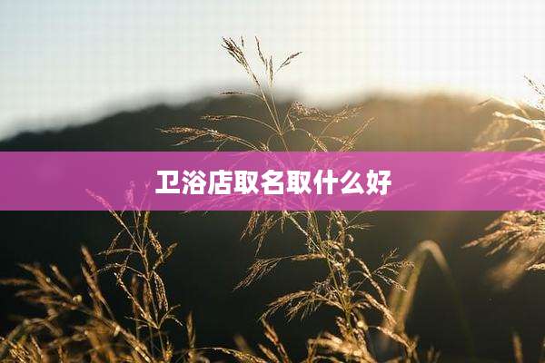 卫浴店取名取什么好
