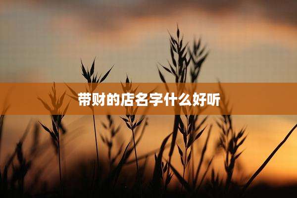 带财的店名字什么好听