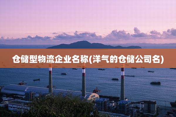 仓储型物流企业名称(洋气的仓储公司名)