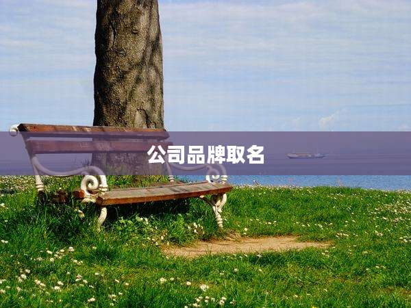 公司品牌取名