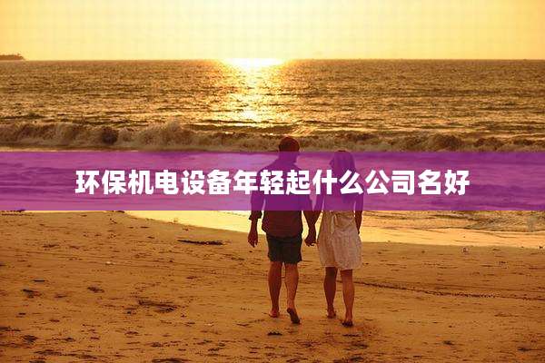 环保机电设备年轻起什么公司名好
