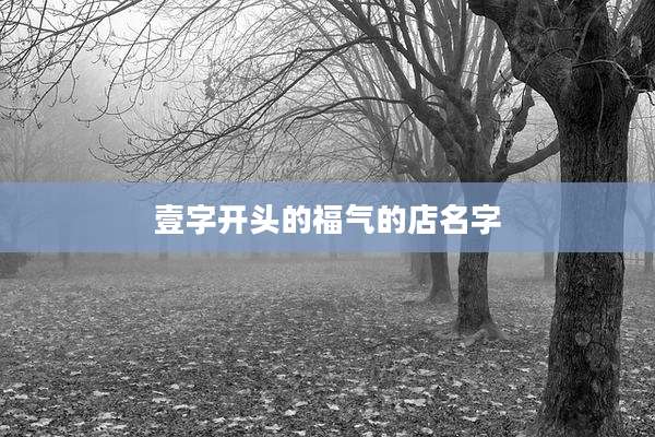 壹字开头的福气的店名字