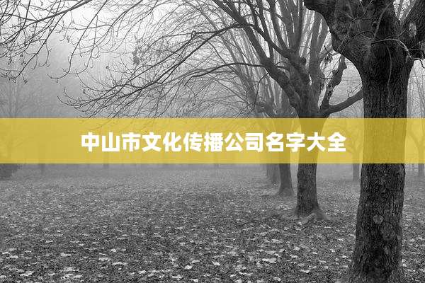 中山市文化传播公司名字大全