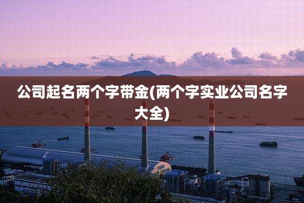 公司起名两个字带金(两个字实业公司名字大全)