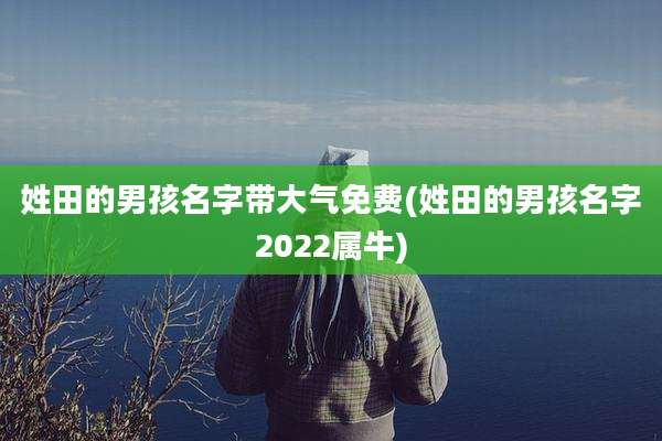 姓田的男孩名字带大气免费(姓田的男孩名字2022属牛)