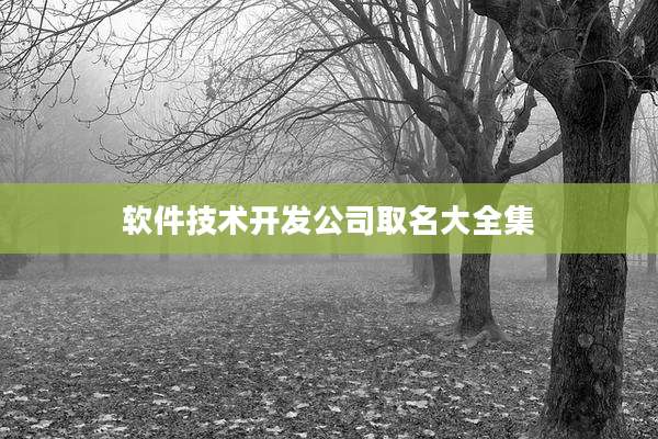 软件技术开发公司取名大全集