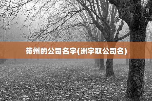 带州的公司名字(洲字取公司名)