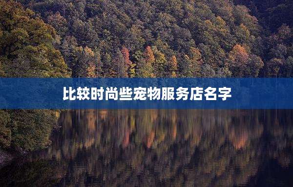 比较时尚些宠物服务店名字
