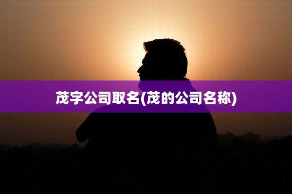 茂字公司取名(茂的公司名称)