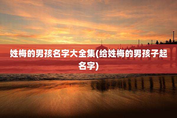 姓梅的男孩名字大全集(给姓梅的男孩子起名字)