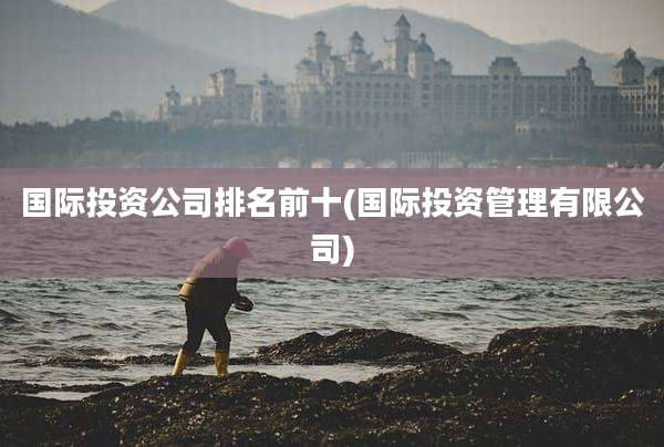 国际投资公司排名前十(国际投资管理有限公司)