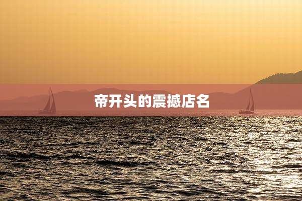帝开头的震撼店名