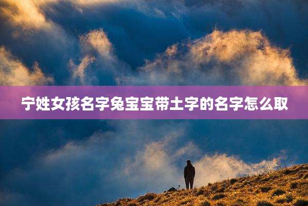 宁姓女孩名字兔宝宝带土字的名字怎么取