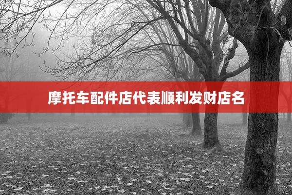 摩托车配件店代表顺利发财店名