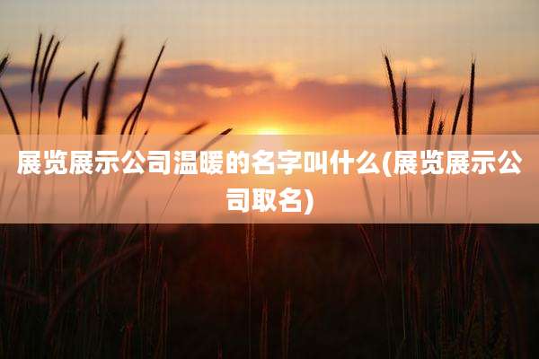展览展示公司温暖的名字叫什么(展览展示公司取名)